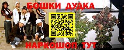 метадон Новозыбков