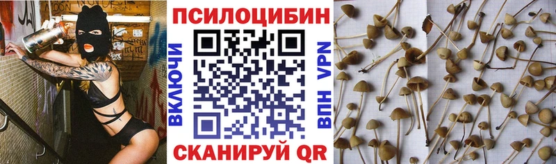 Галлюциногенные грибы Cubensis  Тосно 