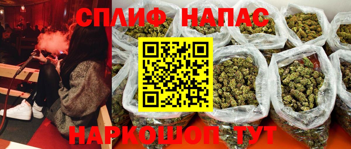 Каннабис план Тосно